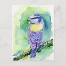 Search for watercolor bird postcards Wild