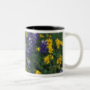 Search for texas bluebonnet mugs Field