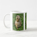 Search for prairie dogs mugs Rodent