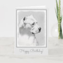 Search for argentine cards Dog