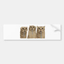 Search for meme bumper stickers Humour