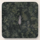 Search for elephant coasters Landscape