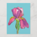 Search for pink and turquoise postcards Floral