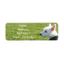 Search for west highland terrier return address labels Terriers