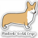 Search for pembroke corgi bumper stickers Pets