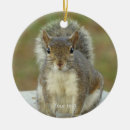 Search for small rodents christmas tree decorations For kids