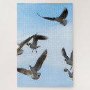 Search for gull puzzles Ocean