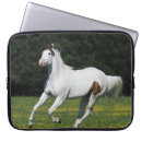 Search for medicine cases Equestrian
