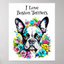Search for boston terrier posters Flowers