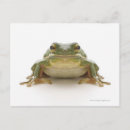 Search for enhance postcards Cold blooded