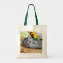Search for lounge bags Cat