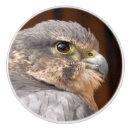 Search for bird knobs and pulls Falcon