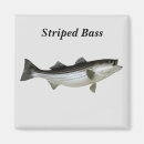 Search for saltwater magnets Fishing