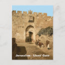 Search for lion postcards Landscape