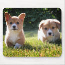 Search for cute corgi mouse mats Puppy
