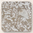 Search for fossil coasters Geology