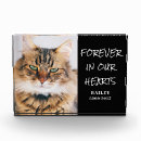 Search for dog memorial photo display Forever in our hearts