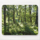 Search for tree photo mouse mats Aspen