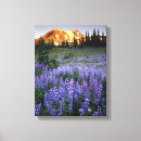 Search for adams canvas prints Flower
