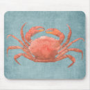 Search for crab mouse mats Beach