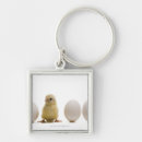 Search for eggs square key rings Chicken