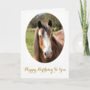Search for horse cards Farm animal