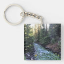 Search for crescent key rings Nature