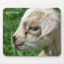 Search for funny goat mouse mats Photography