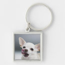 Search for office humour key rings Animal