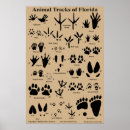 Search for tracking posters Footprint