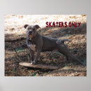 Search for dog nose art Pitbull