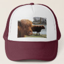 Search for bovines hats Animals