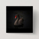 Search for beak square badges Bird