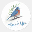 Search for bluebird stickers Thank you