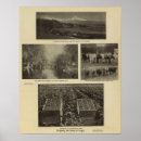 Search for agriculture posters Reproductions
