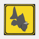 Search for catfishing magnets Humour