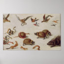 Search for snake posters Bird