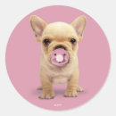 Search for pacifier stickers Cute