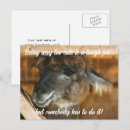 Search for humorous postcards Photography