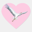 Search for pink stork stickers Bird