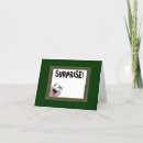 Search for shout cards Kitten