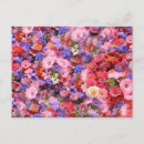 Search for violas postcards Pink