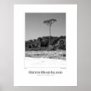 Search for black and white palm tree posters Photography