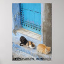 Search for morocco door posters Chefchaouen