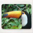 Search for beak mouse mats Bird