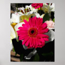 Search for gerbera posters Floral