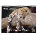 Search for wild calendars Zebra