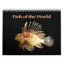 Search for fish calendars Aquarium