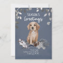 Search for cute golden retriever puppy christmas cards Pet