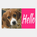 Search for hi hello stickers Dog